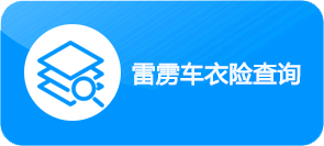 雷雳隐形车衣车衣险